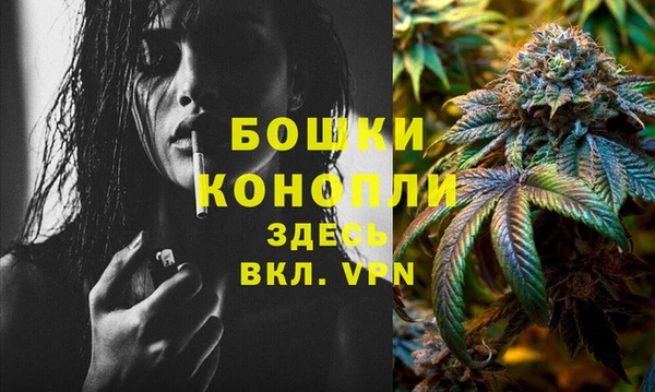 прущие грибы Покачи