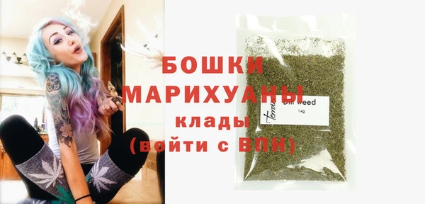 прущие грибы Покачи
