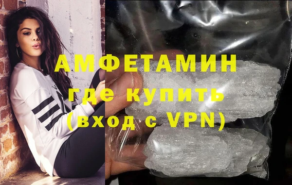 прущие грибы Покачи