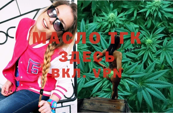 индика Воткинск