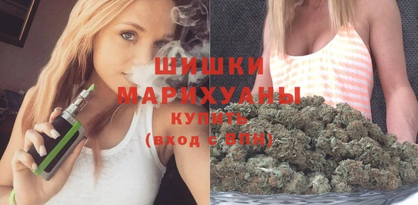 прущие грибы Покачи