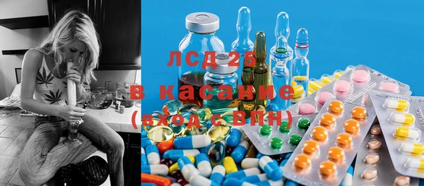 прущие грибы Покачи