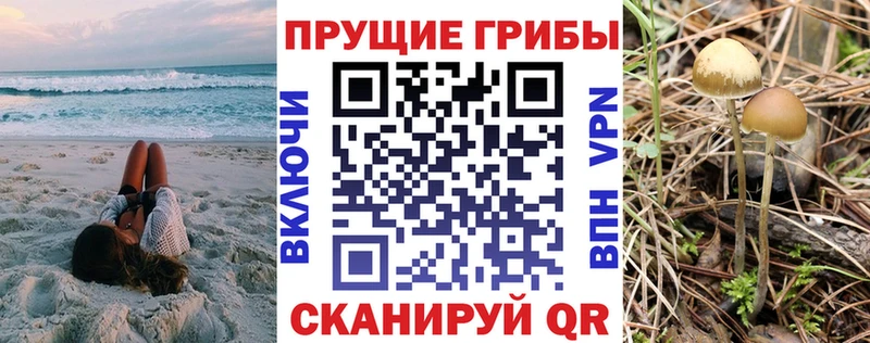 Псилоцибиновые грибы Psilocybe  Харабали 