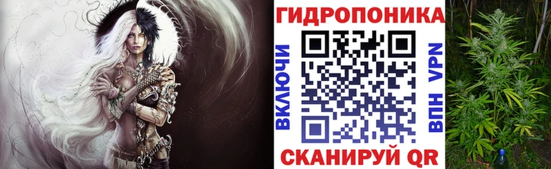 как найти   Харабали  Каннабис OG Kush 